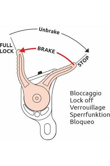 CAMP GIANT Descender