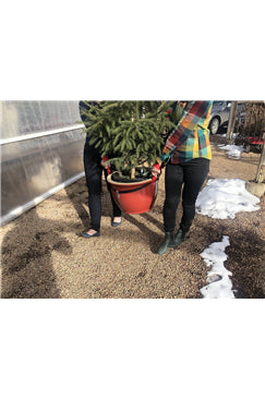 Garden Dolly Landscaping Strap Max Load: 370kg