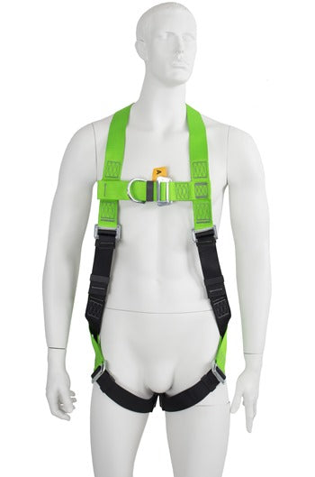 P11 2-point Harness & Shock Absorber Lanyard Kit