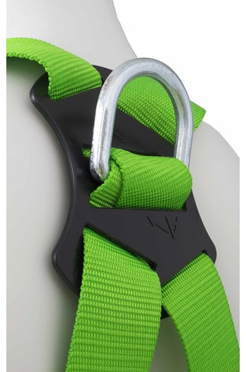 P11 2-point Harness & Shock Absorber Lanyard Kit