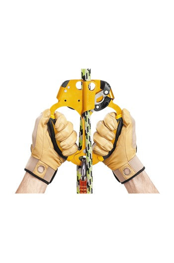PETZL B19AAA Ascentree Rope Clamp