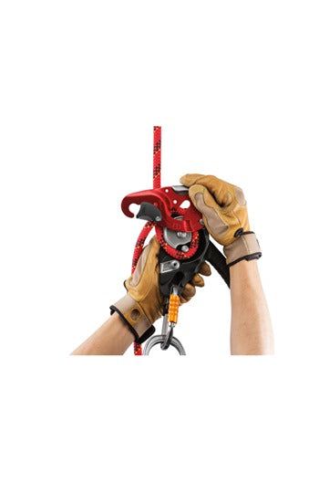 PETZL I'D L D200L0 Descender