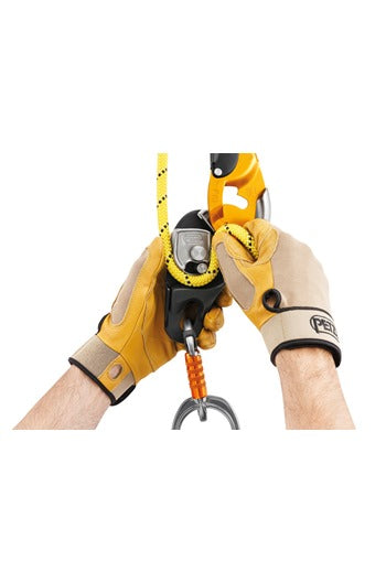 PETZL RIG D21A Descender