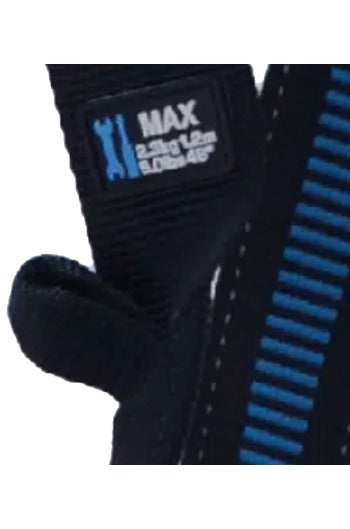 Safehold 4-Point Full Safety Harness