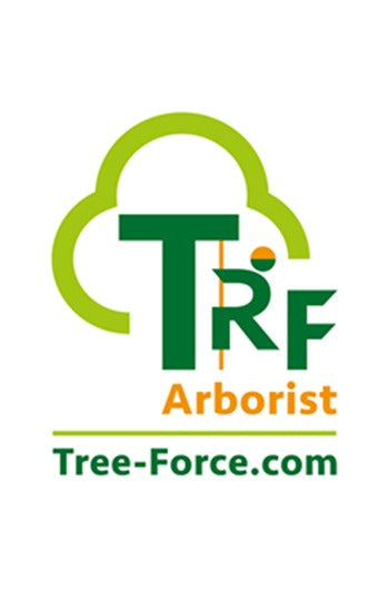 Short Spike Set to suit DR1 & DR3 Steel Climbing Spikes