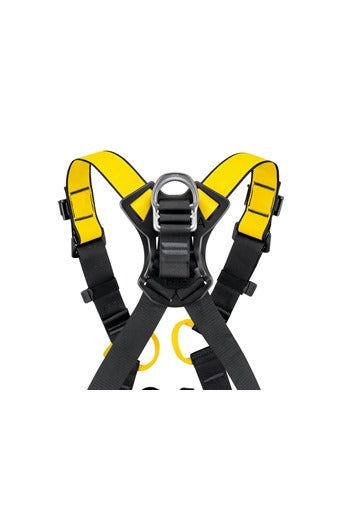 Special Offer - Petzl NEWTON International Version Harness Size 2