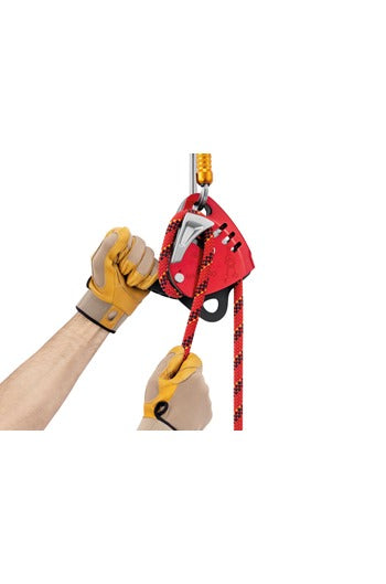 Special Offer - Petzl MAESTRO® L Descender